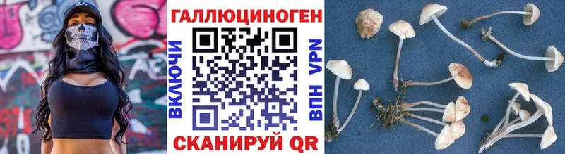 Галлюциногенные грибы прущие грибы  Вязники 